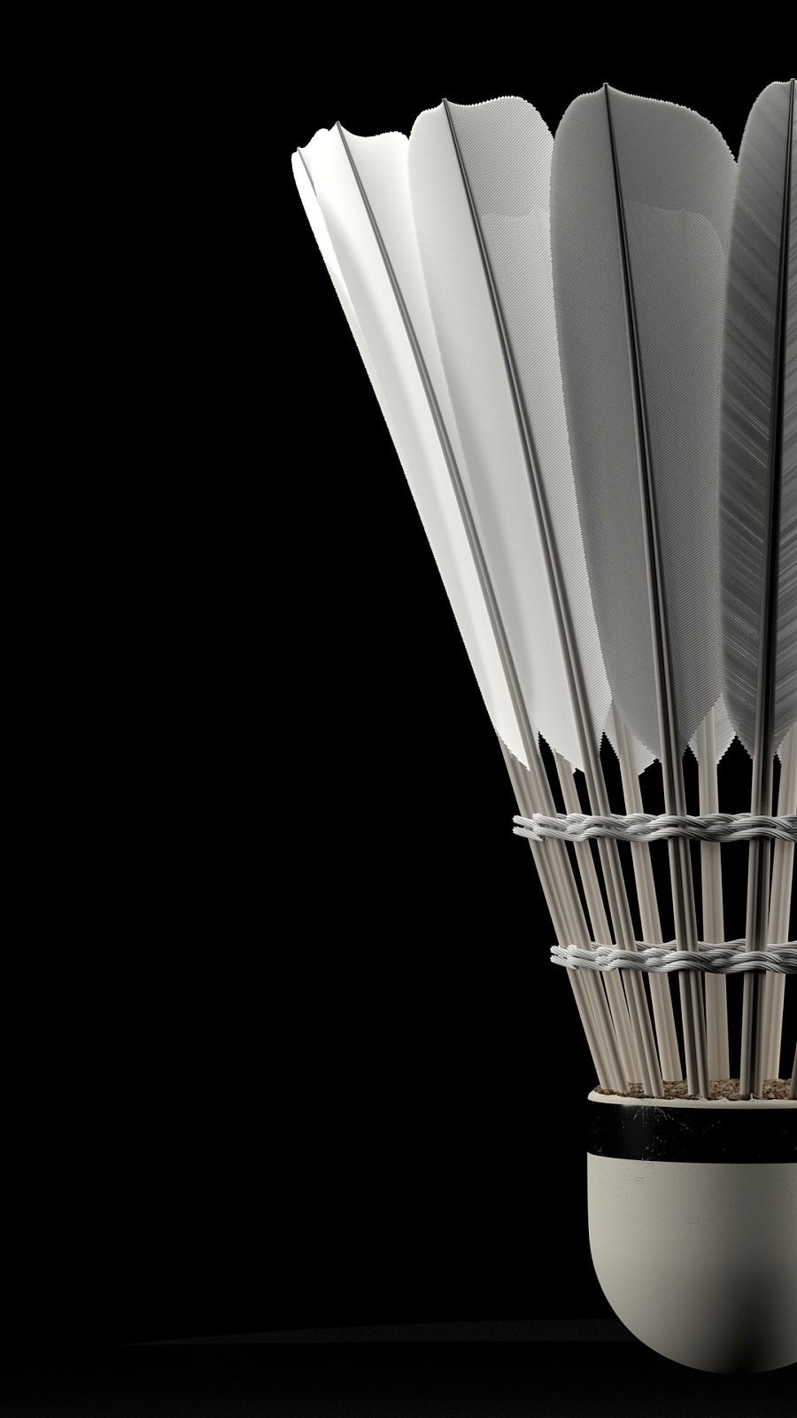 使球队在欧 使球队在欧